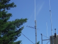 TamW_Antennas2